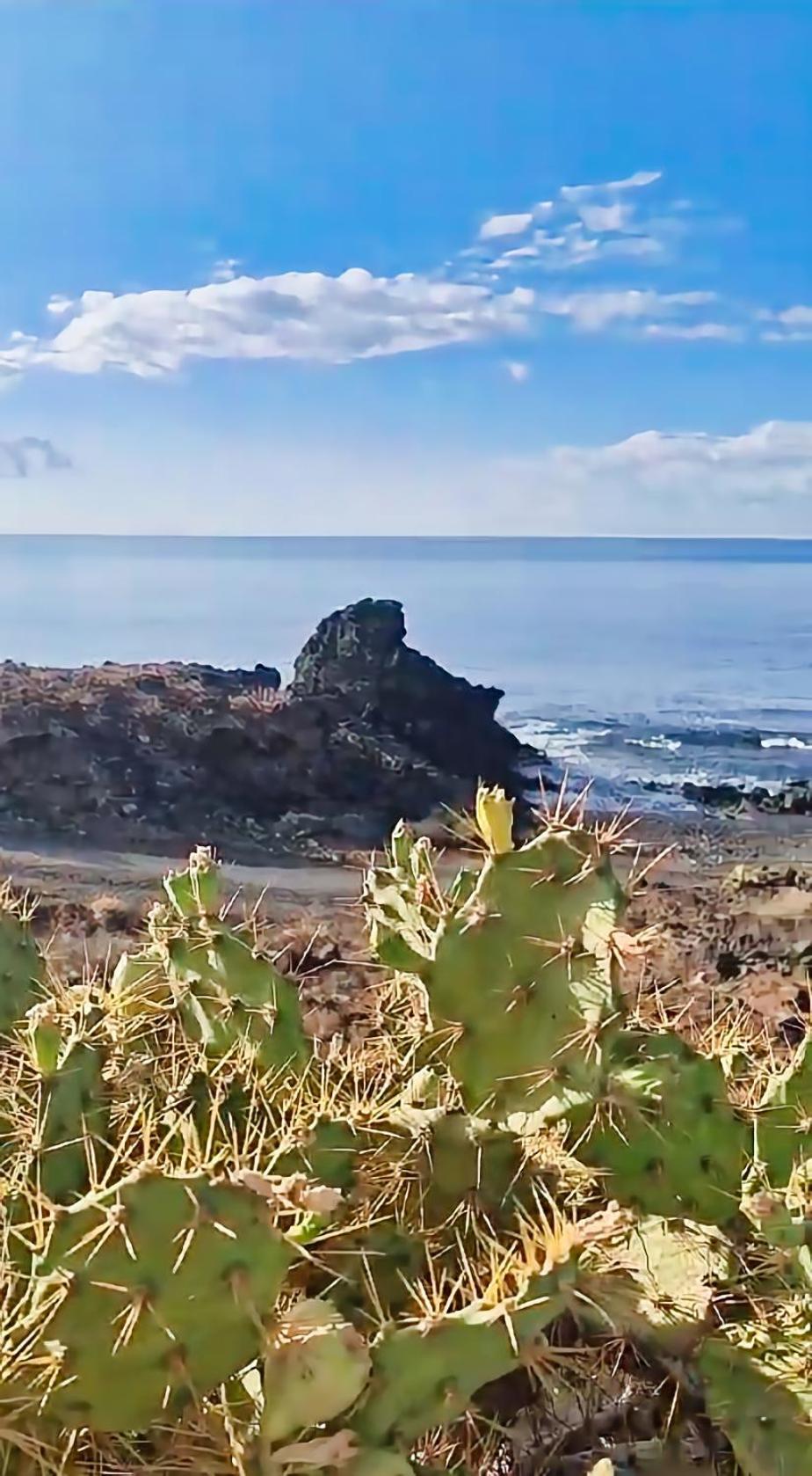 Casa Palmu Apartment - A Peaceful And Relaxing Oasis In Golf Del Sur, Tenerife San Miguel de Abona Extérieur photo