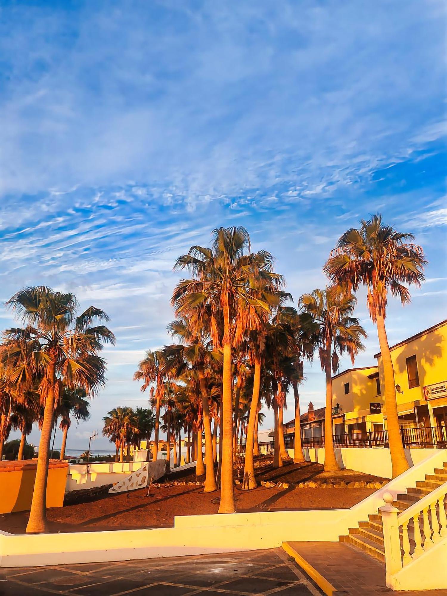 Casa Palmu Apartment - A Peaceful And Relaxing Oasis In Golf Del Sur, Tenerife San Miguel de Abona Extérieur photo